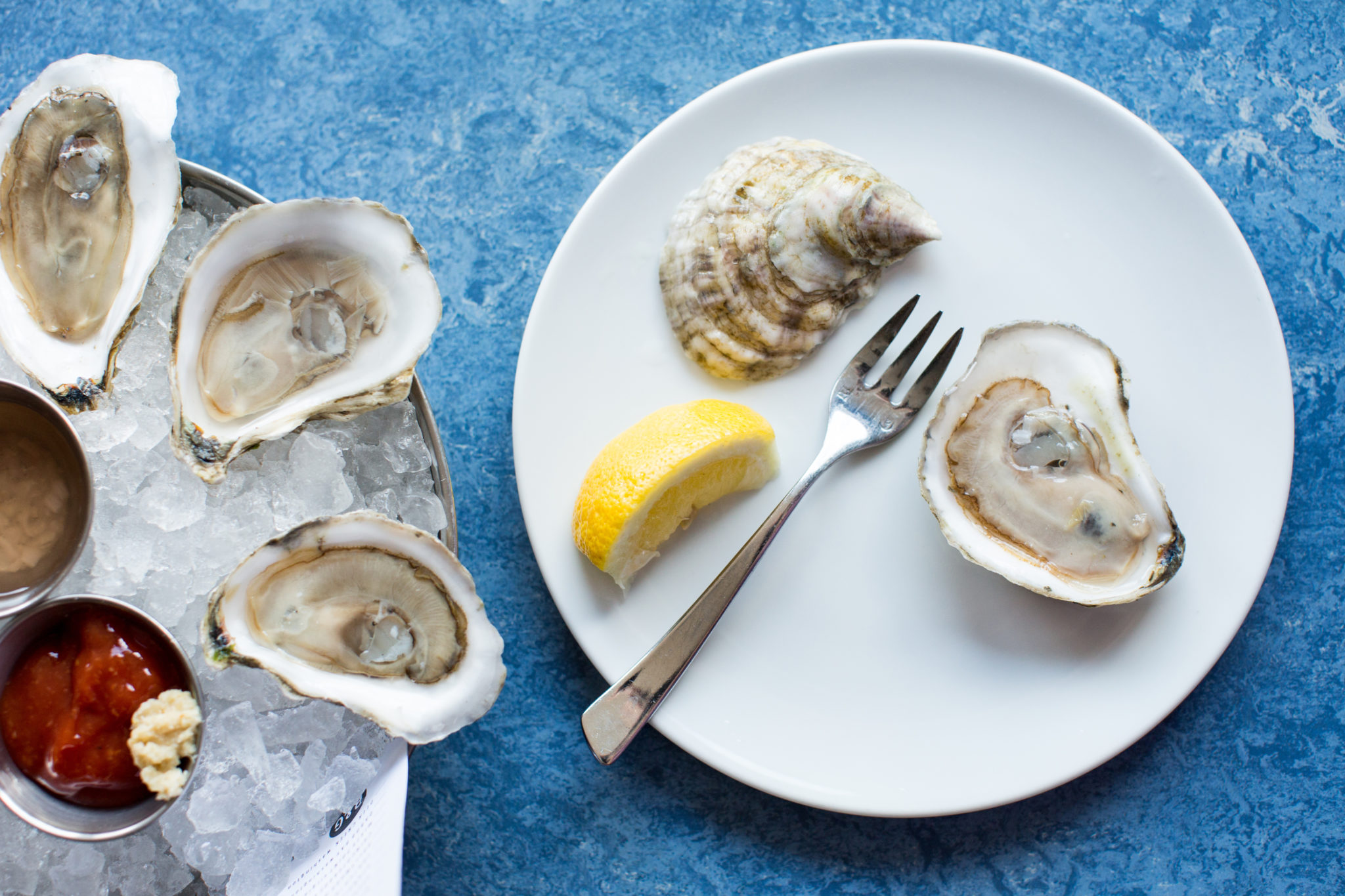 Oyster Shucking Classes At B&G Oysters · Boston · The Food Lens